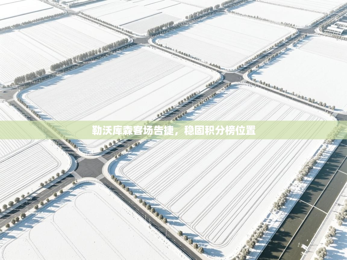 勒沃库森客场告捷，稳固积分榜位置  第1张