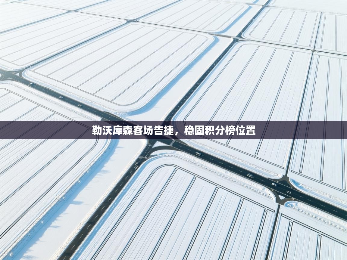 勒沃库森客场告捷，稳固积分榜位置  第2张