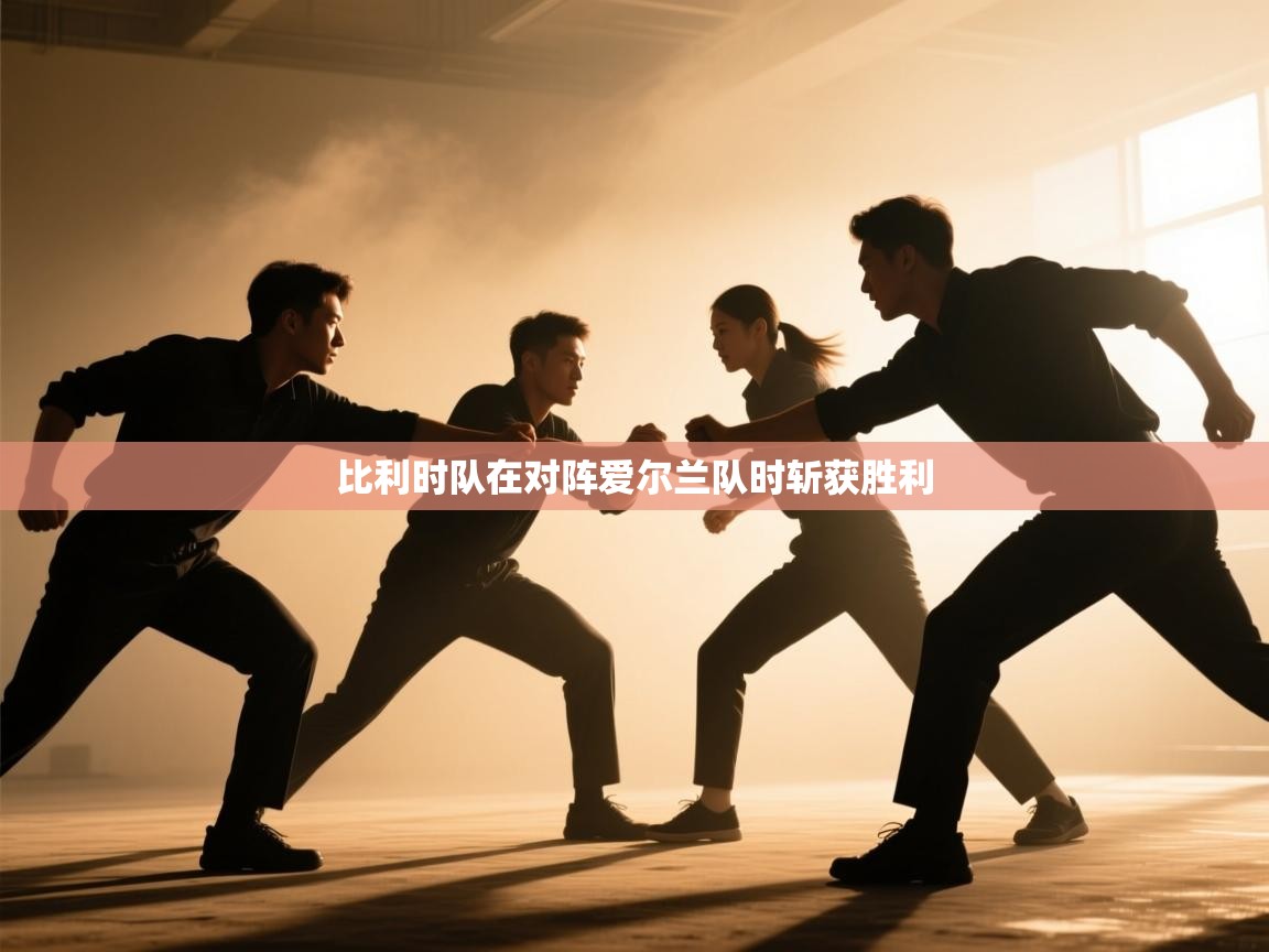 比利时队在对阵爱尔兰队时斩获胜利 第1张